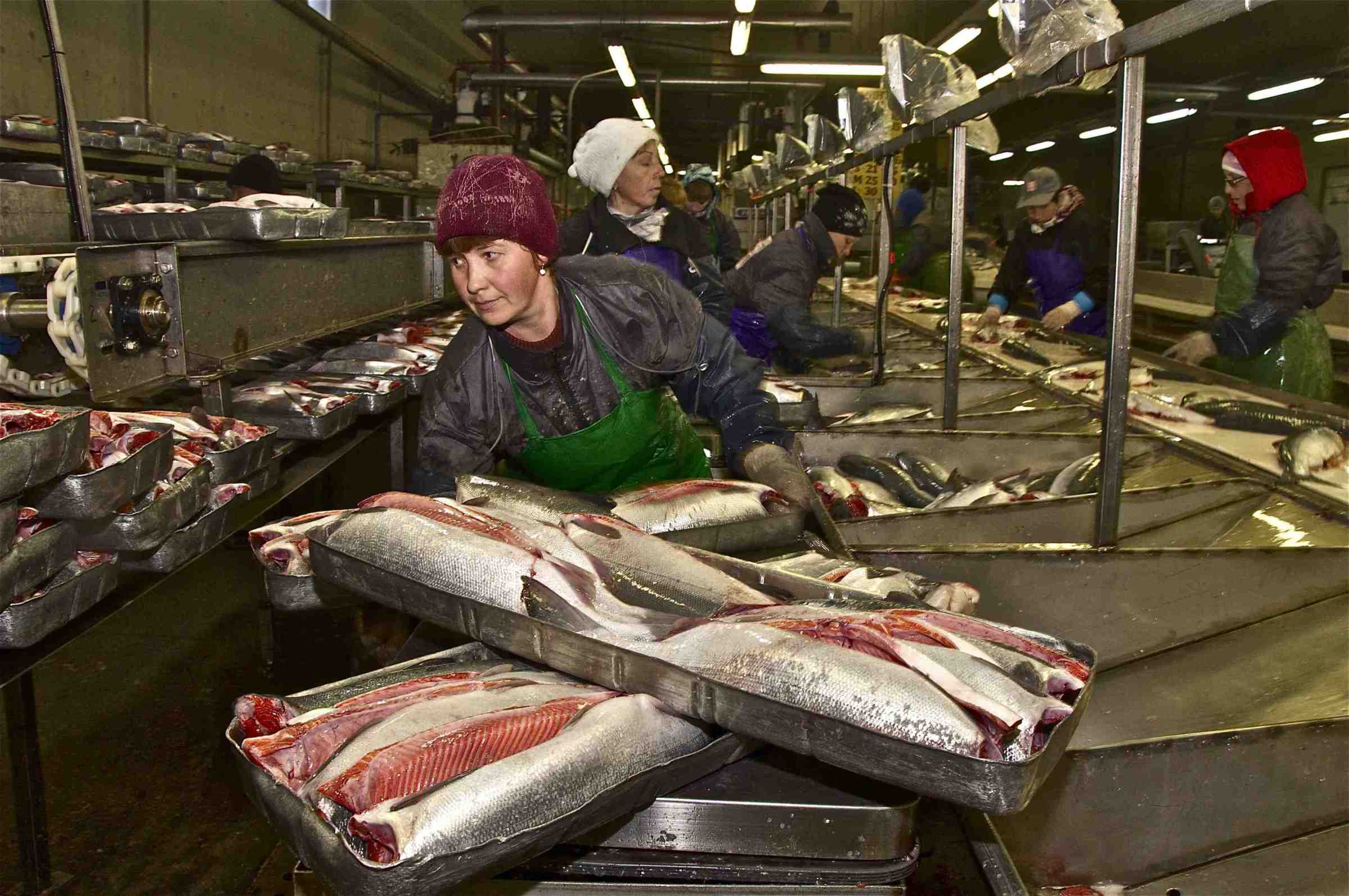 Петропавловск Камчатский Рыбообрабатывающий завод