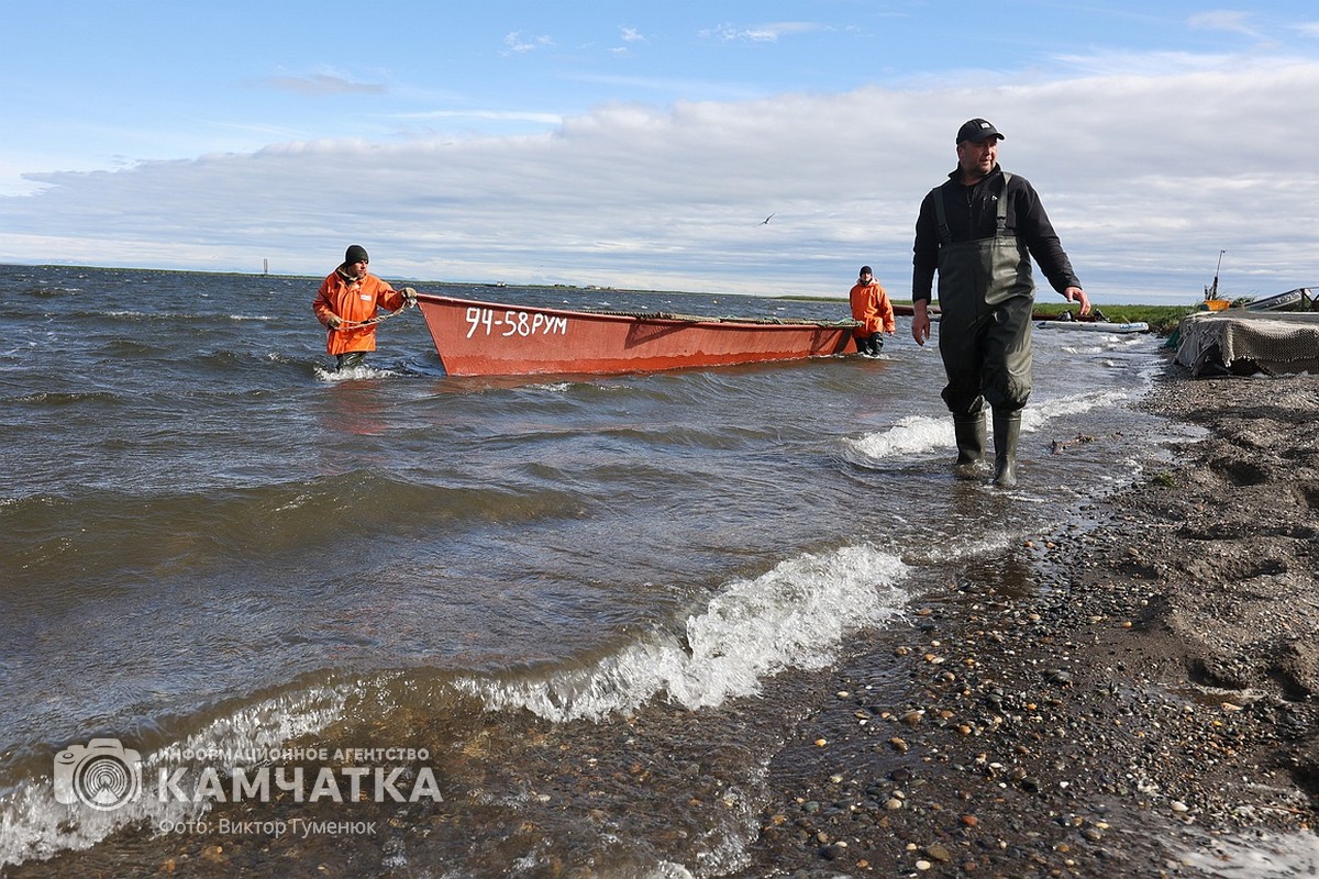 Лососевая путина начинается в Олюторском и Карагинском районах. Первый  невод рыбаки забросят 15 июня – ИА Камчатка