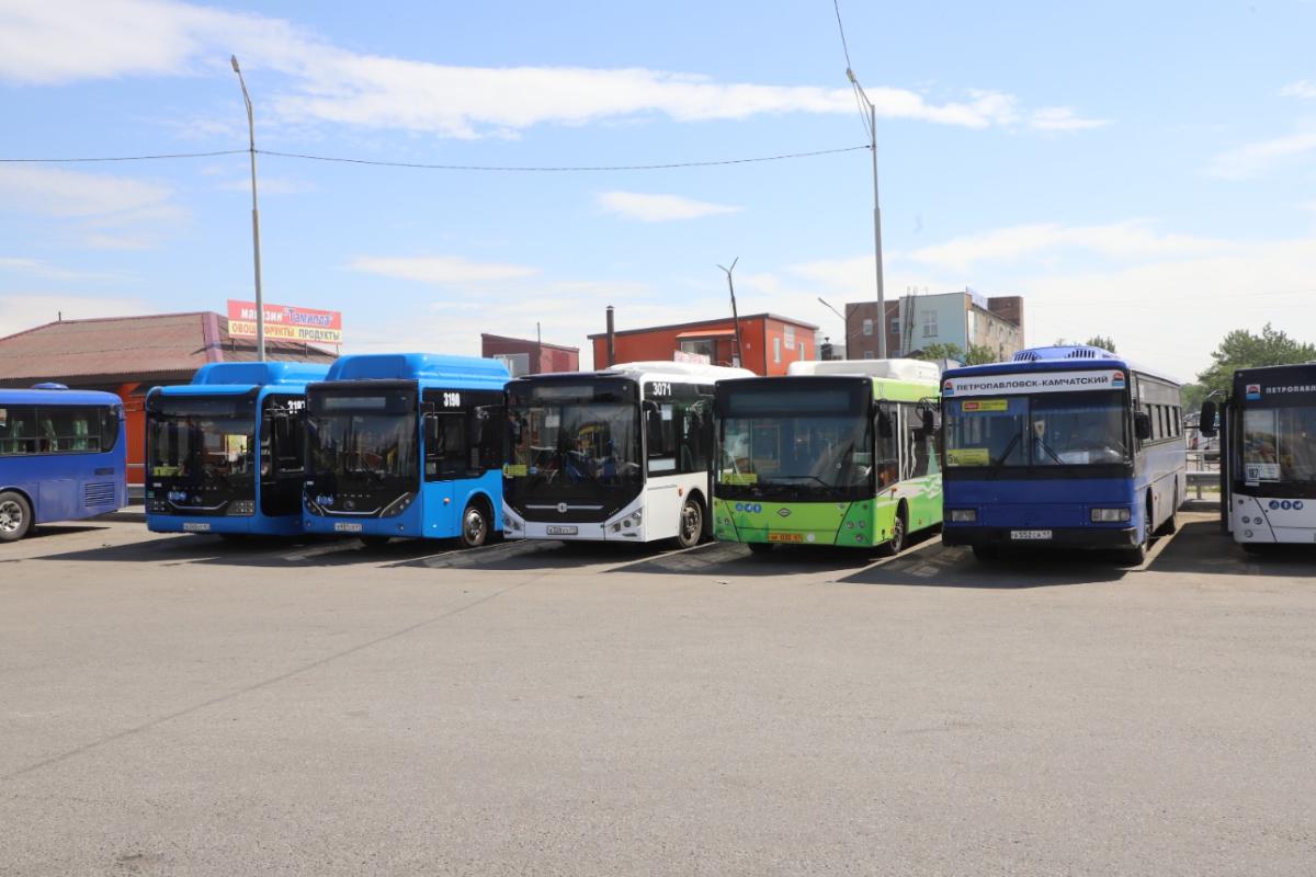 Петропавловск камчатский автобус 31. Автобусы на Камчатке. Автобусы Камчатского края. Камчатский автобус Камчатка автобус Камчатка.