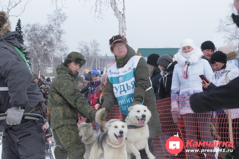 Сады камчатки питомник