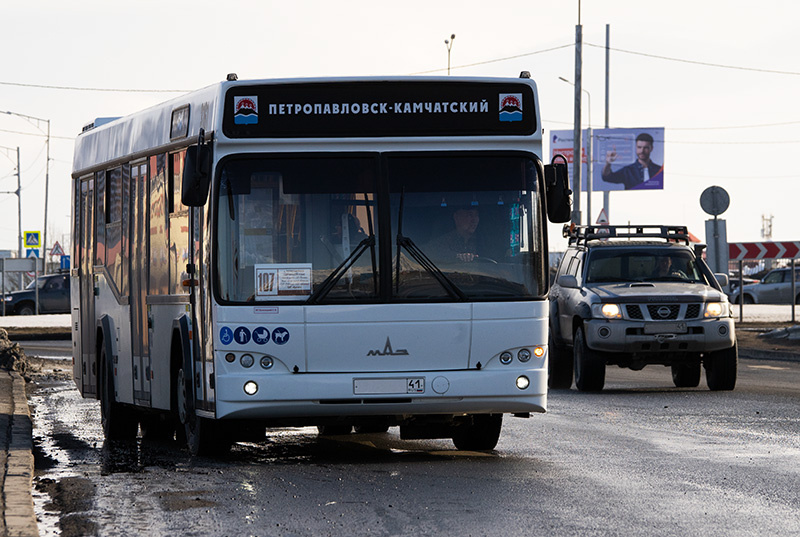 Расписание автобусов петропавловск камчатский елизово