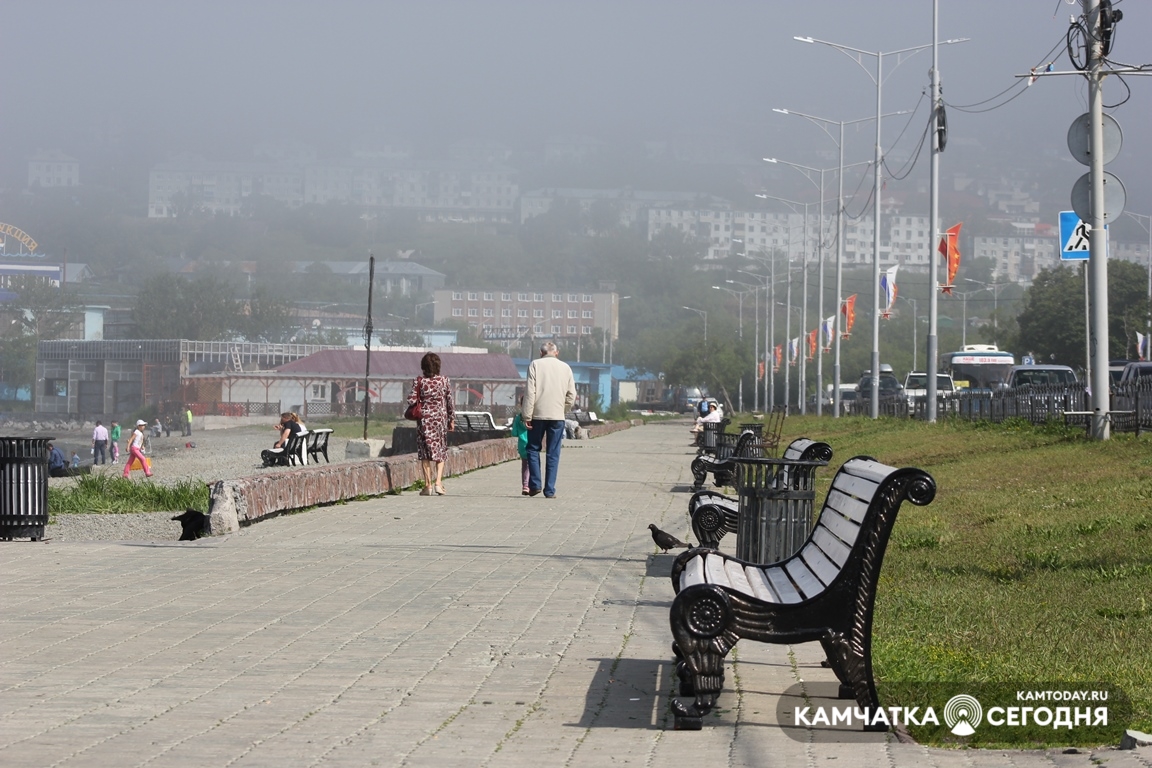 Более 100 жителей Камчатки получат в 2021 году льготы как предпенсионеры –  ИА Камчатка