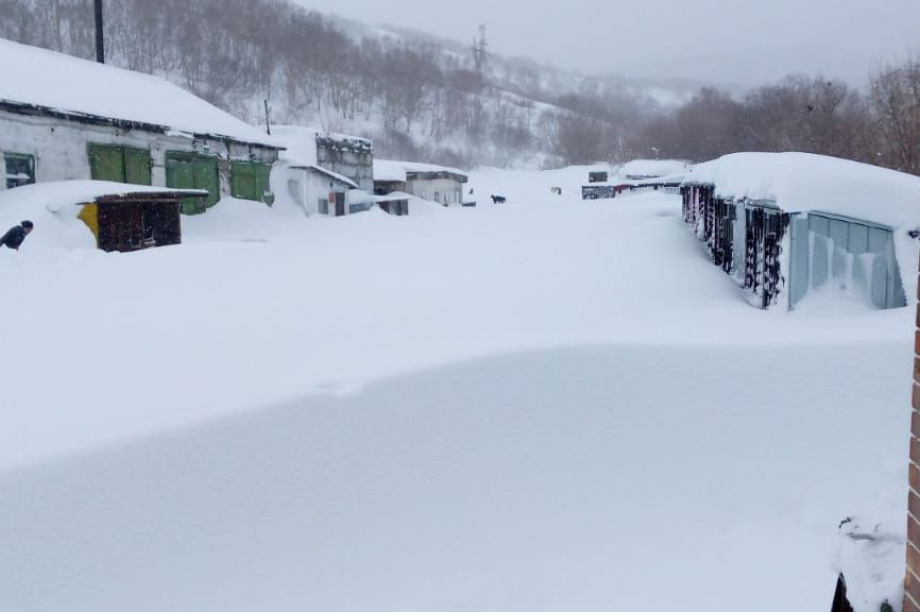Приют для бездомных собак на Камчатке просит помощи. . Фотография 1