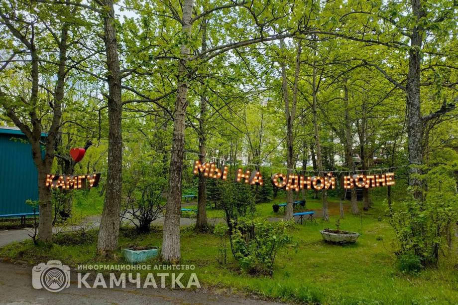 Геоинформатиков и математиков обучат в камчатском вузе. Фото: Олеся Сурина . Фотография 2