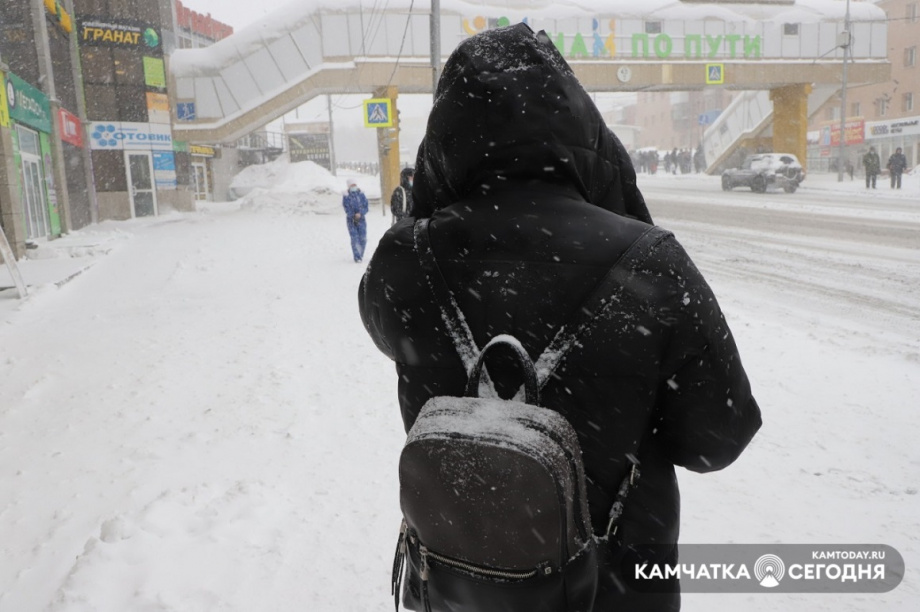 Заснеженный Петропавловск: фоторепортаж Виктора Гуменюка. Фото: Виктор Гуменюк. Фотография 7