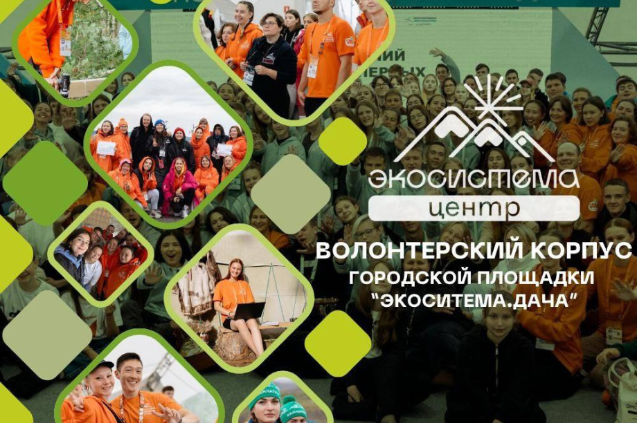 На Камчатке проект "Экосистема. Дача" приглашает юных волонтеров. 