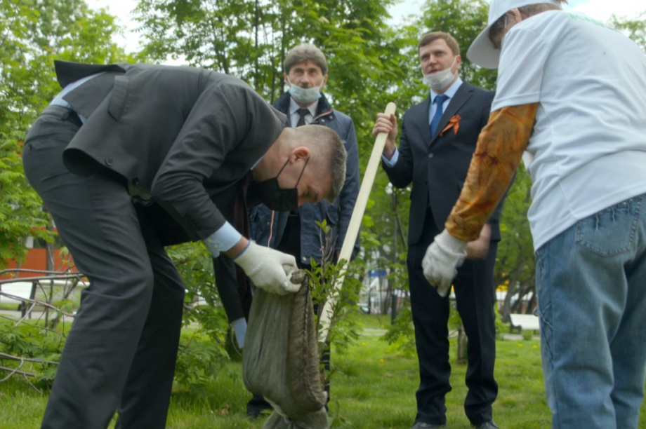 Акция «Сад памяти» завершилась в ДФО высадкой деревьев на Камчатке. Фото: kamgov.ru/. Фотография 3
