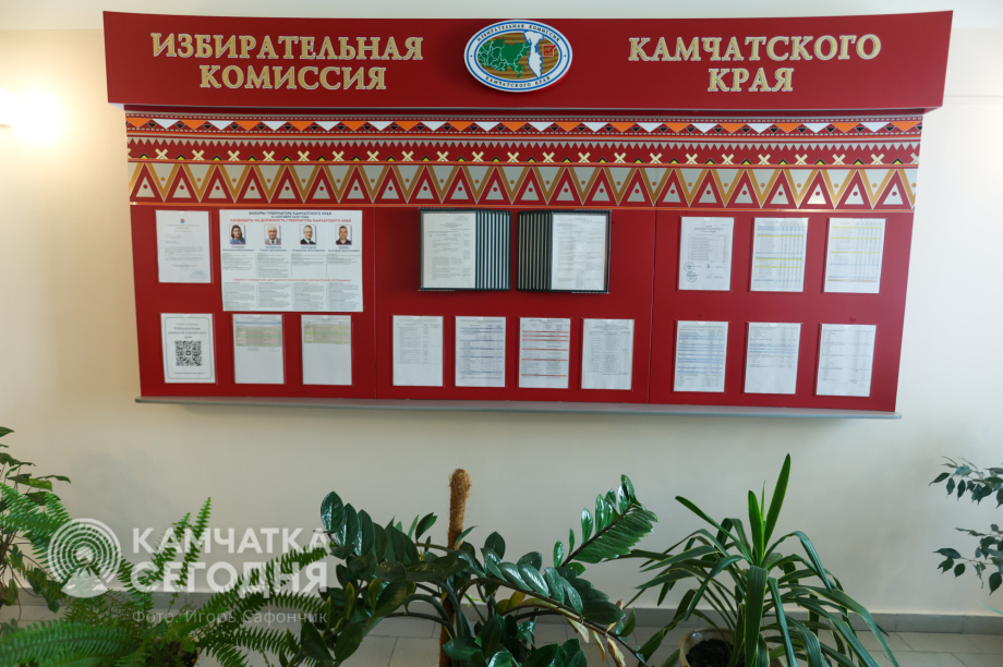Общественные наблюдатели прошли профподготовку к выборам в Камчатском крае . . Фотография 2