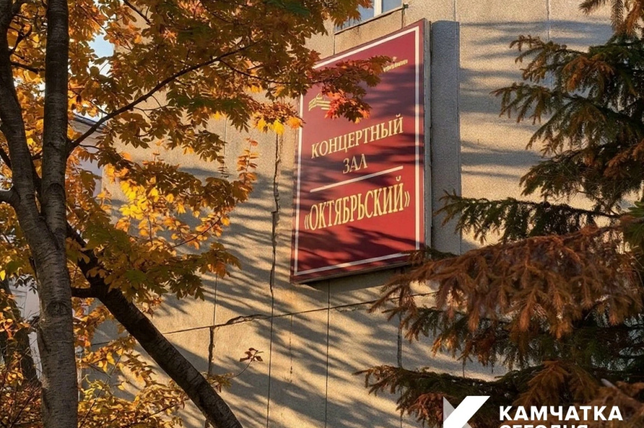  Бесплатный «Урок музыки» проведут артисты Камчатской филармонии. Фото: Камчатская филармония. Фотография 2