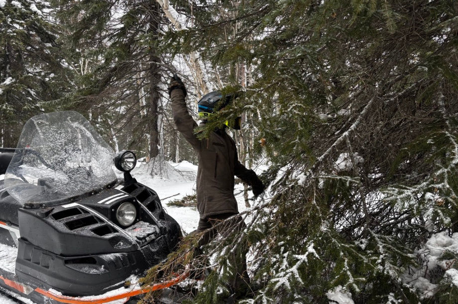 Группа камчатских туристов отправилась в «Зимнюю сказку». Фото: Овчинников П. / Пименова П.. Фотография 2