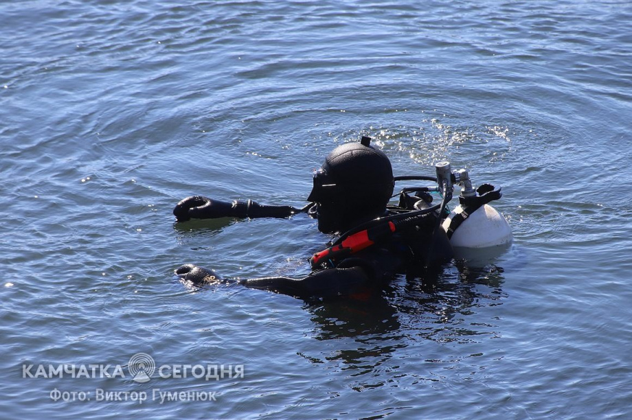 День водолаза. Фотоподборка. фото: Виктор Гуменюк/архив. Фотография 5