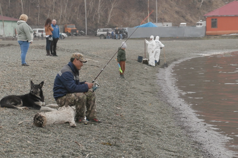 Источник загрязнения Авачинской бухты на Камчатке предположительно находится на пирсе – Минприроды. Фото: ИА "Камчатка". Фотография 1