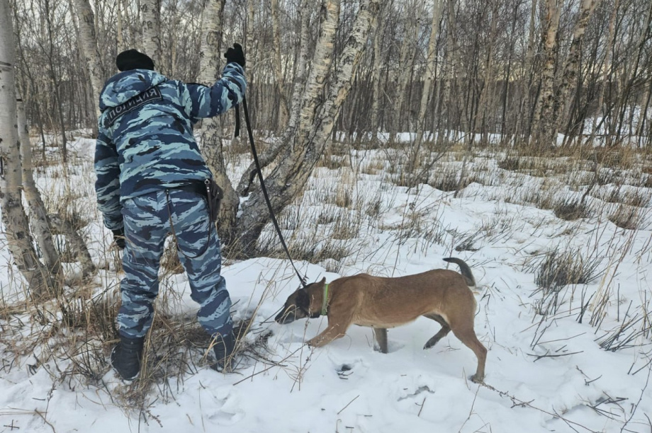 Полицейские Камчатки активизировались в борьбе с «закладчиками». Фото: УМВД России по Камчатскому краю. Фотография 1