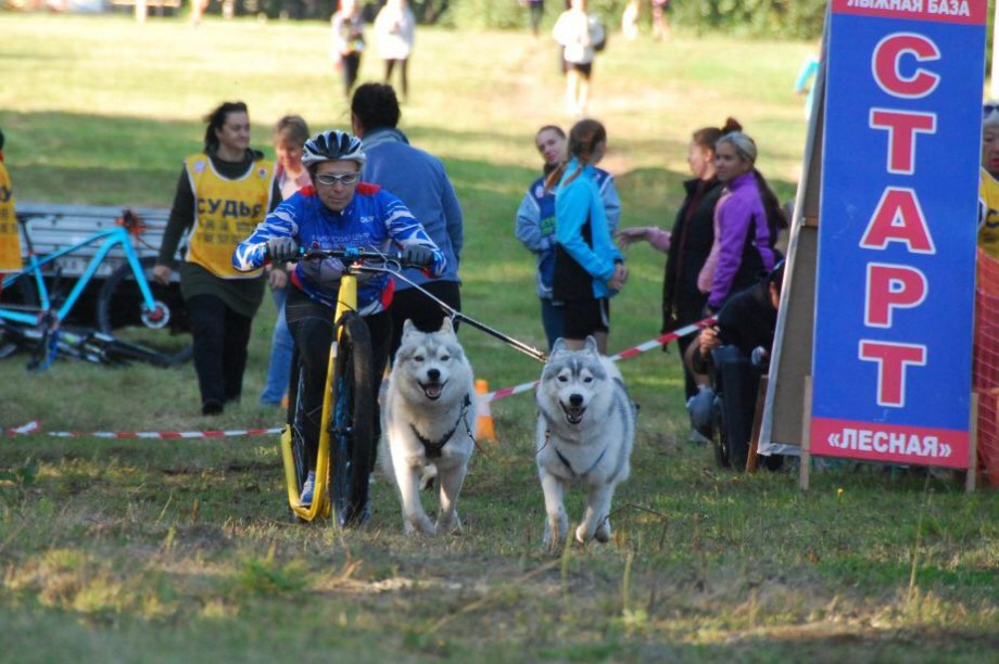 Четыре вида соревнований по ездовому спорту прошли на Камчатке. Фото: Анна Чикина и Вера Плотникова. Фотография 13