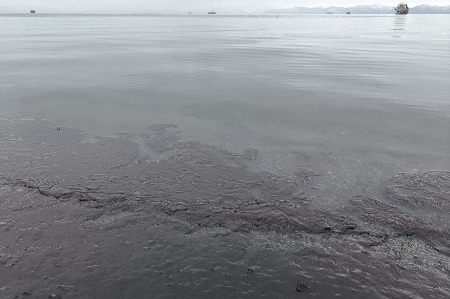 Источник загрязнения Авачинской бухты на Камчатке предположительно находится на пирсе – Минприроды. Фото: ИА "Камчатка". Фотография 6