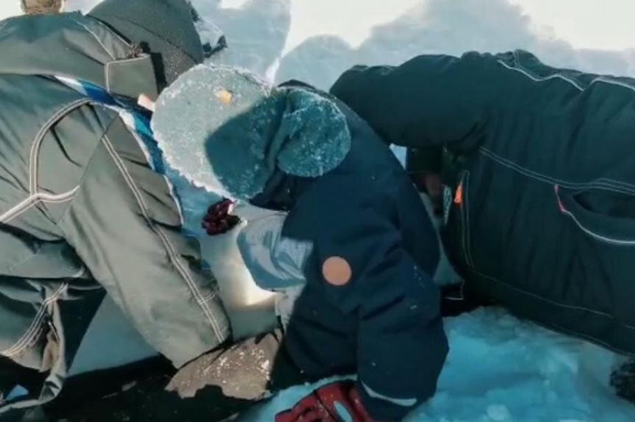 Камчатские спасатели вызволили ребенка, застрявшего в снегу. фото: КГКУ ЦОД