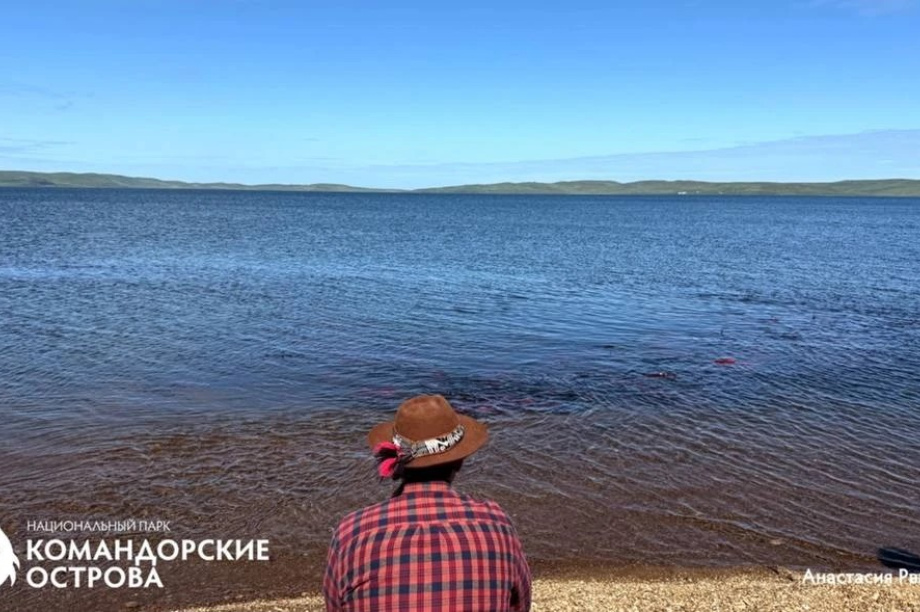 На Командорах стартовал нерест нерки. Нацпарк "Командорский острова". Фотография 2