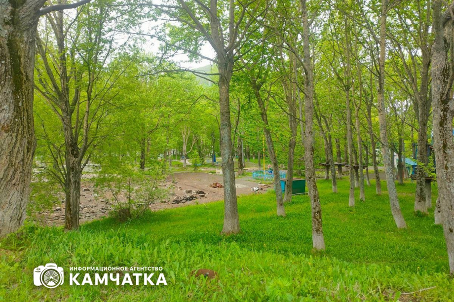 Парк на улице Пограничной в Петропавловске передадут Дворцу молодёжи. Фото: Олеся Сурина. Фотография 1