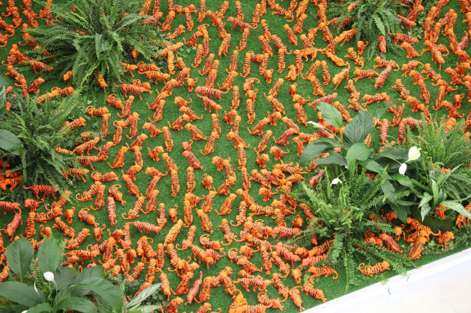 Восточный экономический форум. Фоторепортаж. Фото: Виктор Гуменюк\ИА "Камчатка". Фотография 35