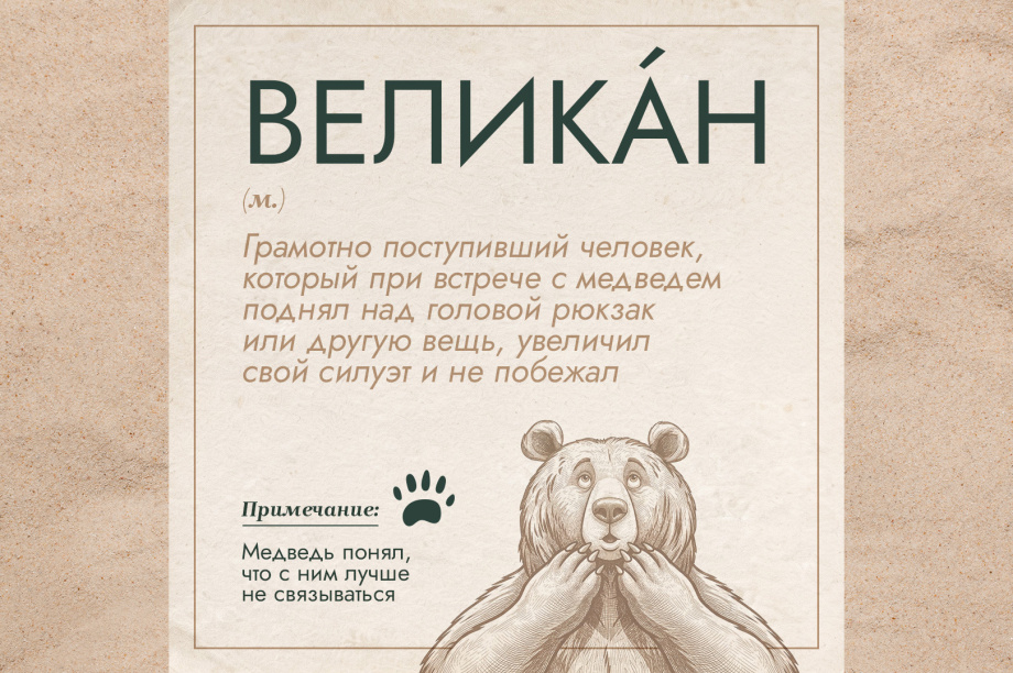Проект «Земля медведя» выпустил толковый словарь медвежьих терминов. . Фотография 2