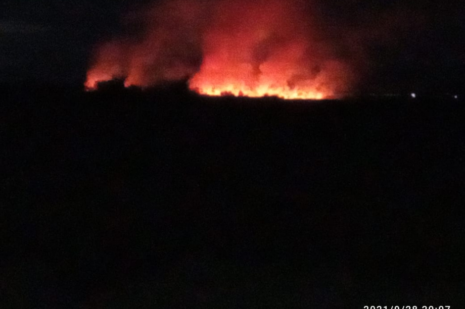 В Петропавловске-Камчатском горят сопка и болото. Фото: социальные сети. Фотография 2