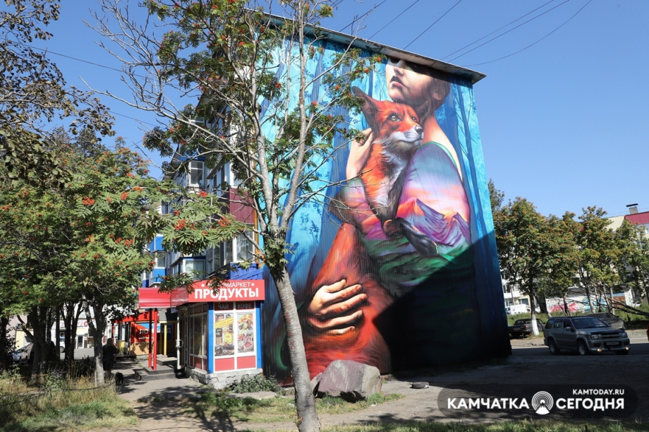 Голосование за лучшие граффити начнётся 13 сентября в Петропавловске. Фото: Виктор Гуменюк / информационное агентство "Камчатка". Фотография 5