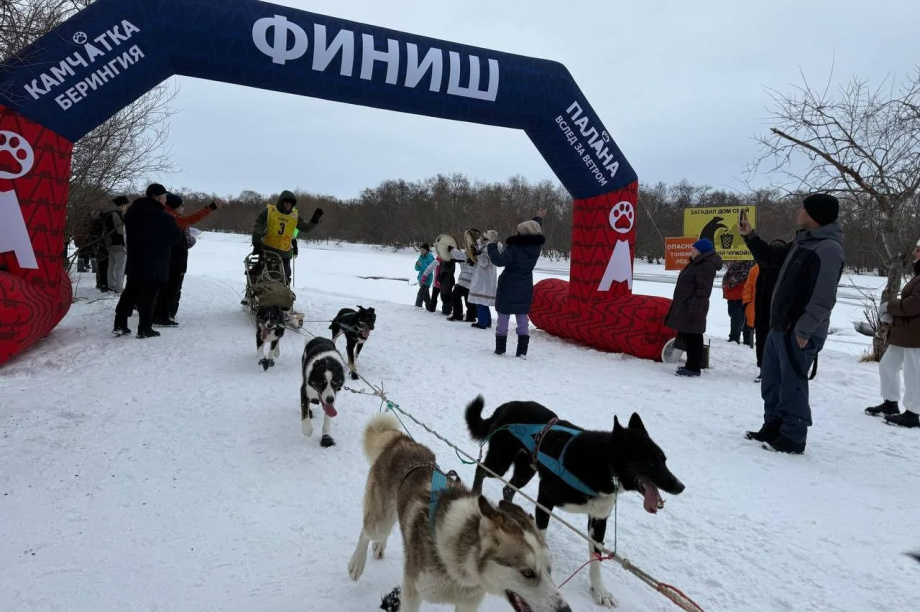 Камчатская «Берингия-2026» добралась до Паланы. Фото: Юлия Воронова. Фотография 1
