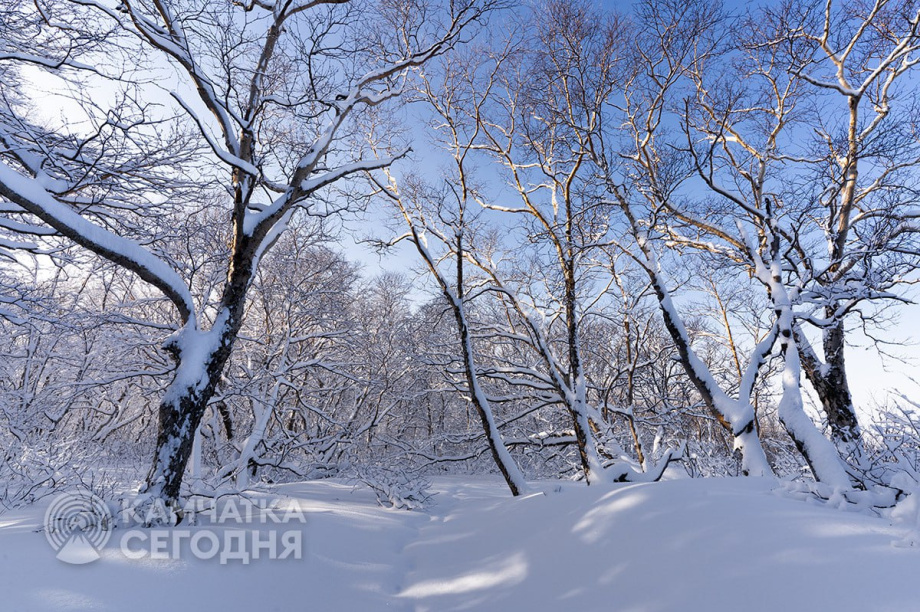 Камчатка застыла в зимнем солнце. Артем Безотечество. Фотография 6