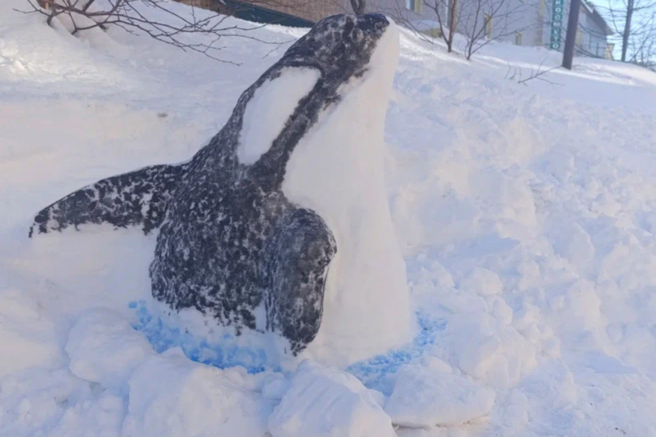 Жители Камчатки создали снежные скульптуры обитателей  местных заповедников. Фото: пресс-служба Кроноцкого заповедника. Фотография 8