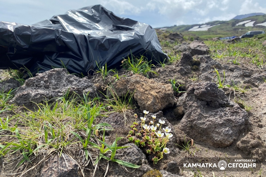 Субботник на Горелом. Фото: Мария Волкова / информационное агентство "Камчатка". Фотография 14