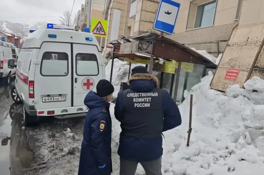 Директор УК «Актив» ответит за гибель женщины после схода снега с крыши . Фото: Следственный комитет