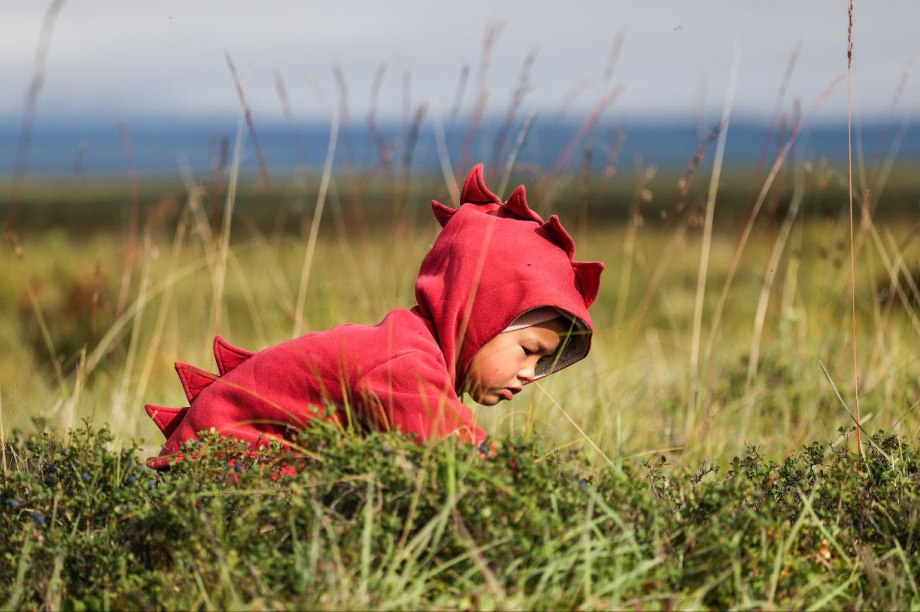 Экспедиция в на север Камчатки — уникальные впечатления и открытия Анатолия Чернявского. Фото: Анатолий Чернявский. Фотография 7
