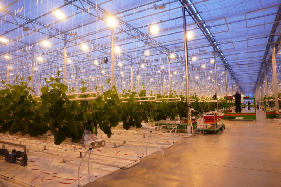 Камчатка меняется. Дайджест преобразований в крае за 5 лет. . Фотография 3