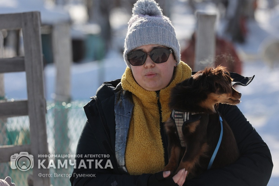 Гонка на собачьих упряжках «Хальч Тхсаном». Фоторепортаж  . Фото: Виктор Гуменюк. Фотография 8
