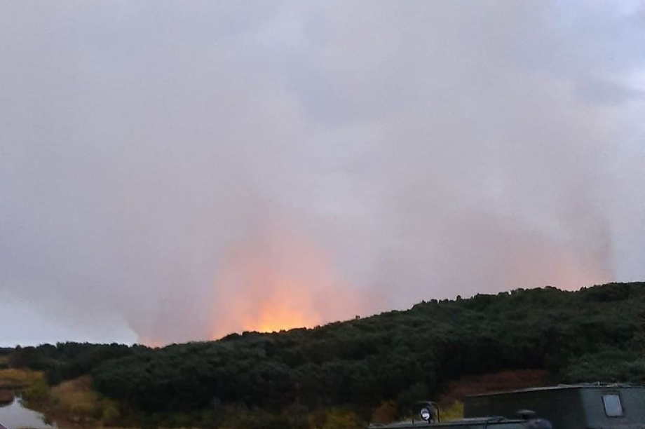 Пожарные планируют локализовать лесной пожар в 6 километрах от Оссоры к вечеру. Фото: соцсети. Фотография 2