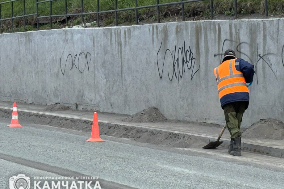 Петропавловск-Камчатский готовится стать чистым. Фоторепортаж с улиц. ИА Камчатка, ПКГО. Фотография 3