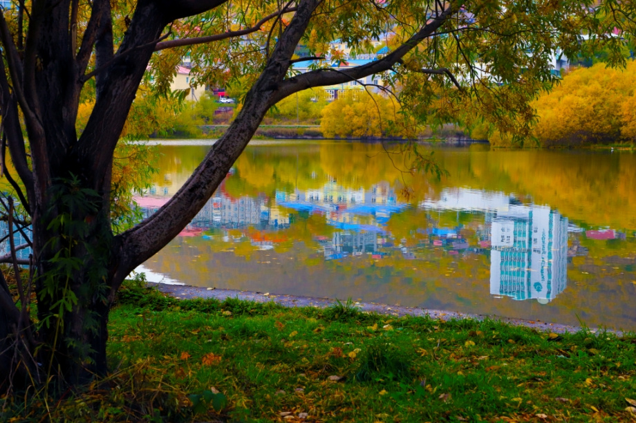 Петропавловск-Камчатский в октябре. Фоторепортаж. Фото: Виктор Гуменюк. Фотография 30
