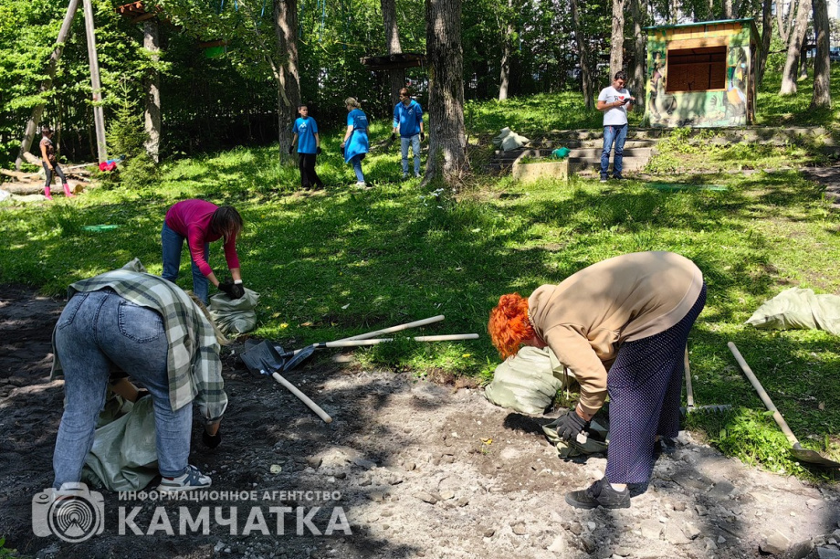Молодежный субботник прошел в детском парке Петропавловска. фото: ИА "Камчатка". Фотография 23
