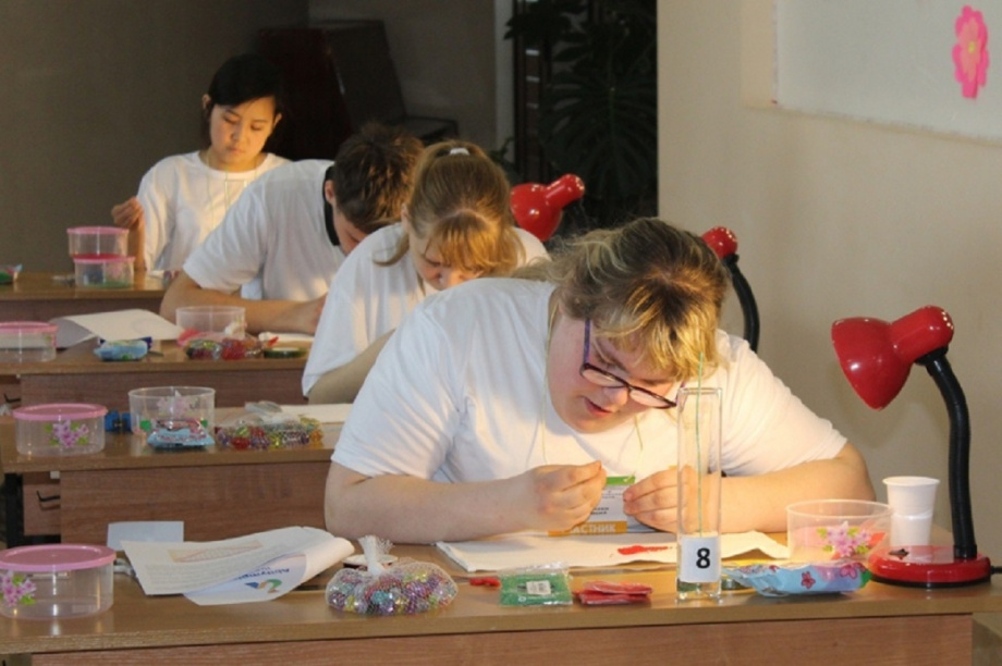 На Камчатке началась подготовка к региональному чемпионату «Абилимпикс-2021». Фото: архив kamgov.ru; организаторы регионального чемпионата «Абилимпикс-2021». Фотография 3