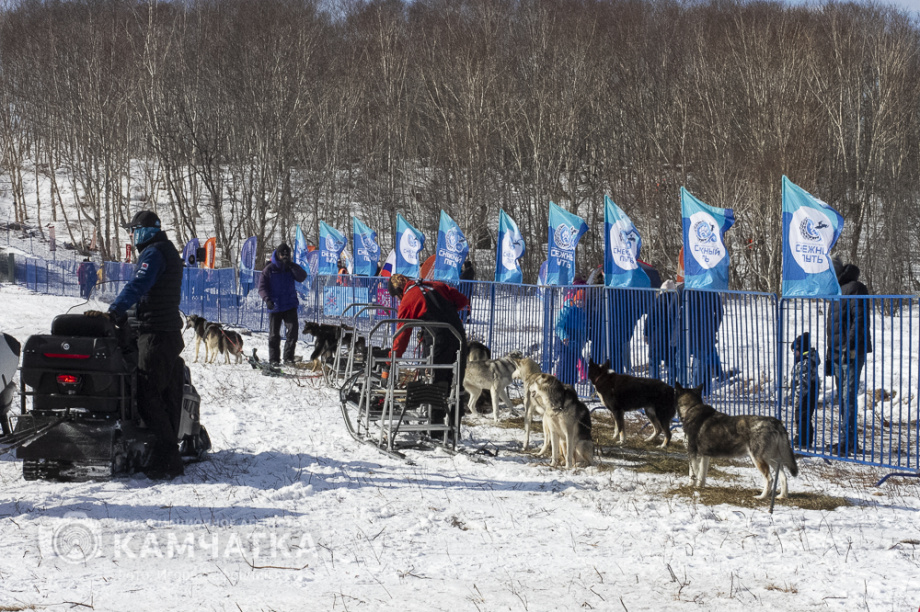На фестивале «Снежный путь» и Масленице (фоторепортаж). Фото: ИА «Камчатка» \ Игорь Сафончик. Фотография 4