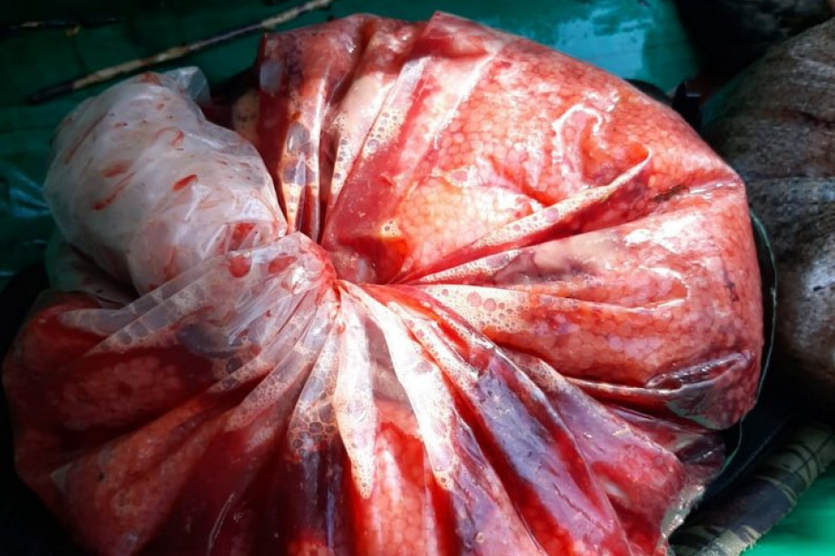 Компания лососевых браконьеров попалась с поличным на Камчатке. Фото: СВТУ ФАР. Фотография 3