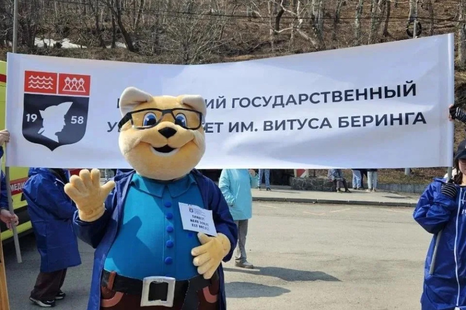 КамГУ им Беринга: Кот знает маршрут. КамГУ Беринга. Фотография 3
