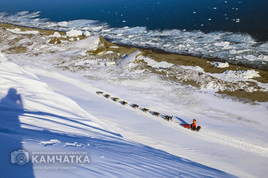 Всемирный день фотографии отмечает Камчатка. Фото: Виктор Гуменюк. Фотография 55