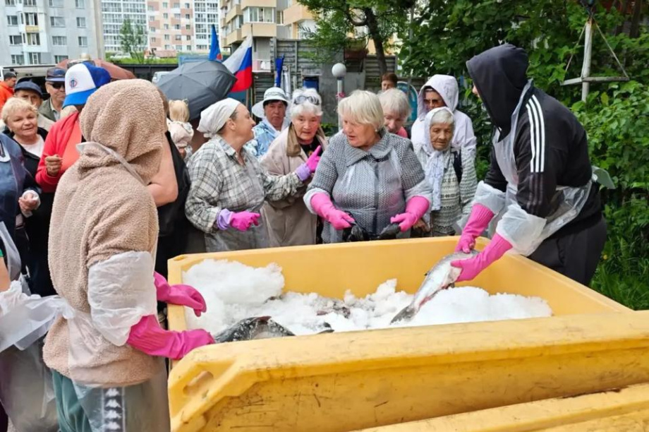 Рыбаки Камчатки бесплатно раздали 10 тонн лосося нуждающимся. Ассоциация "Река Большая". Фотография 4