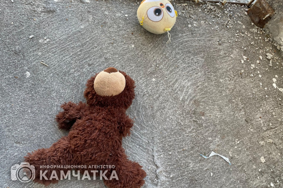 Полуторогодовалая девочка на Камчатке выжила после падения из окна. фото: ИА "Камчатка"