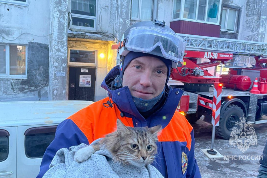 В столице Камчатки спасатели МЧС выручили из беды кота. Фото: ГУ МЧС России по Камчатскому краю