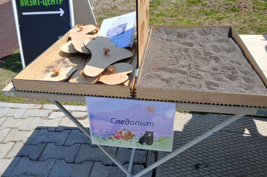 Экологический фестиваль на Камчатке стартует в ближайшую субботу. Фото: Кроноцкий заповедник. Фотография 4