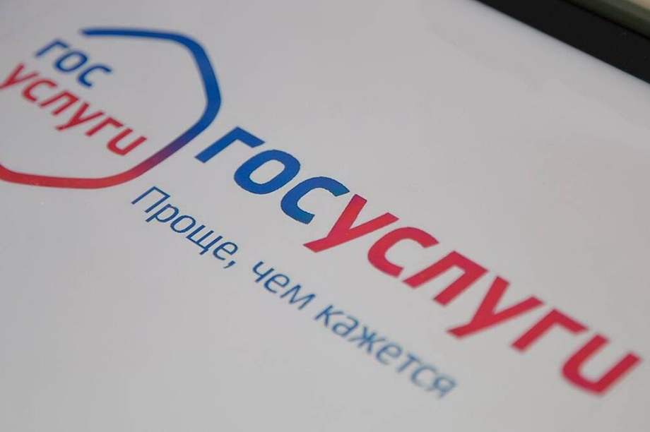 Жители Камчатского края могут защитить себя от мошенников на Госуслугах. 
