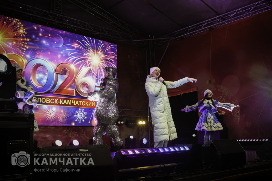 Новогодняя ночь в Петропавловске-Камчатском (фоторепортаж). . Фотография 65