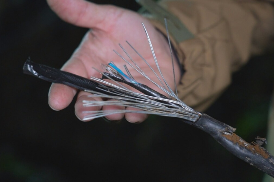 Камчатка избежала интернет-апокалипсиса благодаря резервной линии ВОЛС. Фото: kamgov.ru. Фотография 1